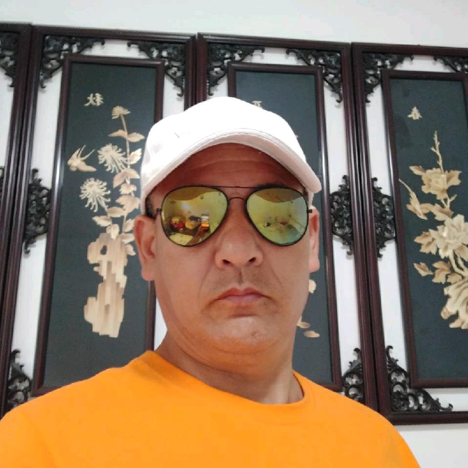 孤傲的狼