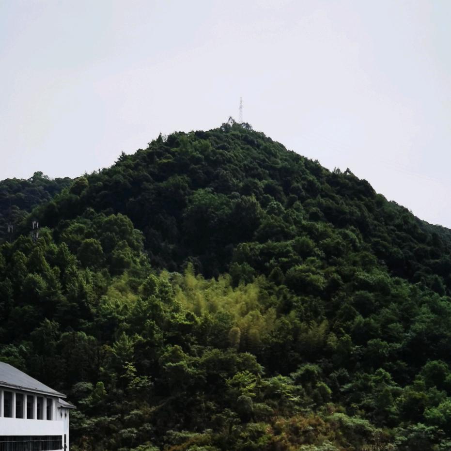 侨丰雅迪，回隆驾校