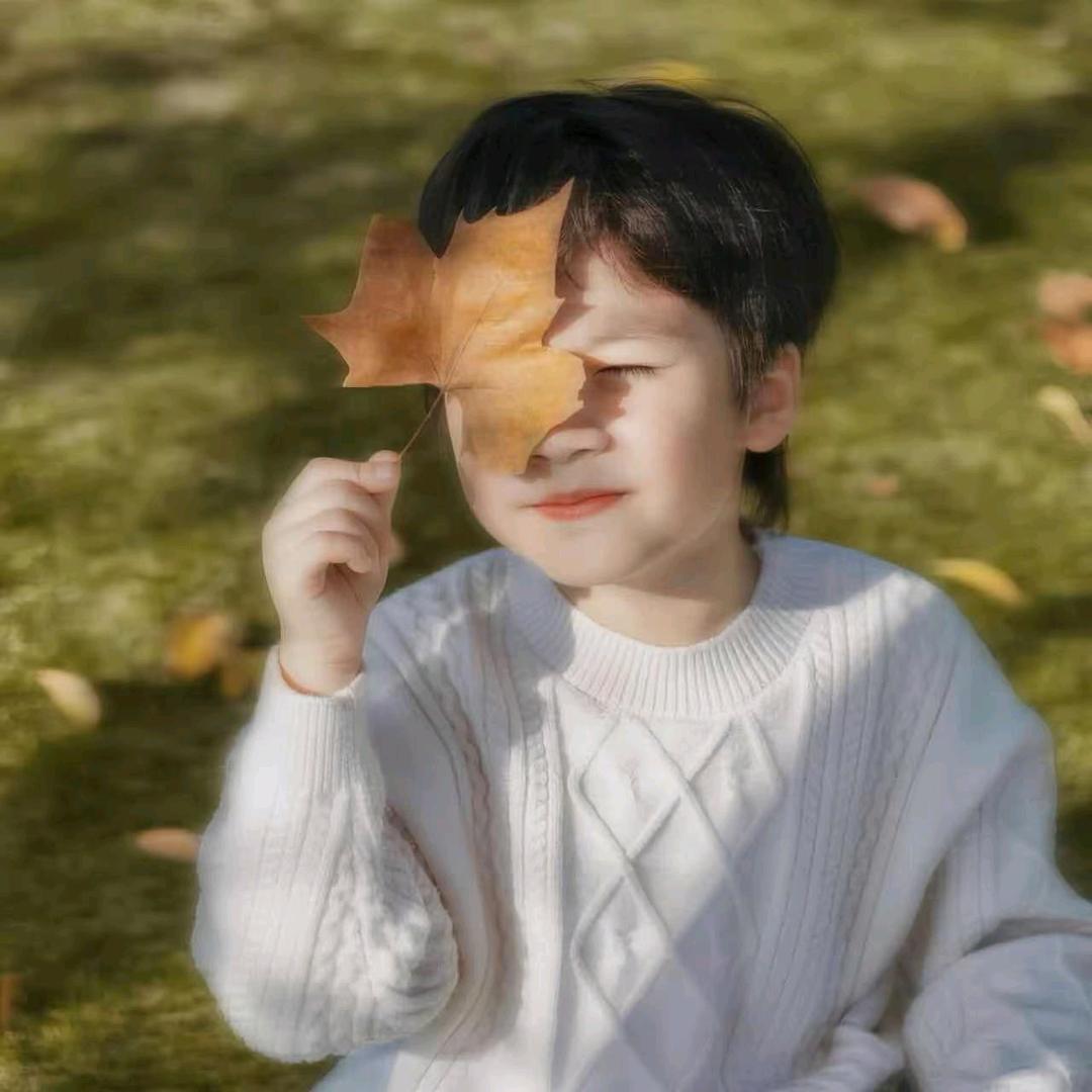 杨不困