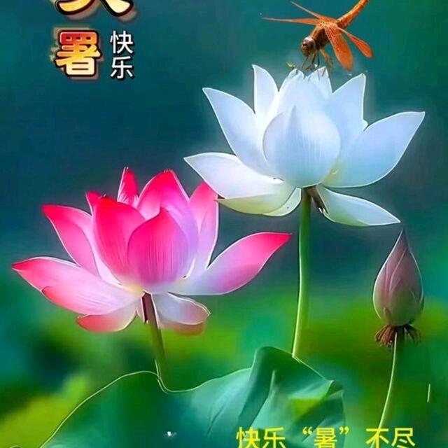 每天开心