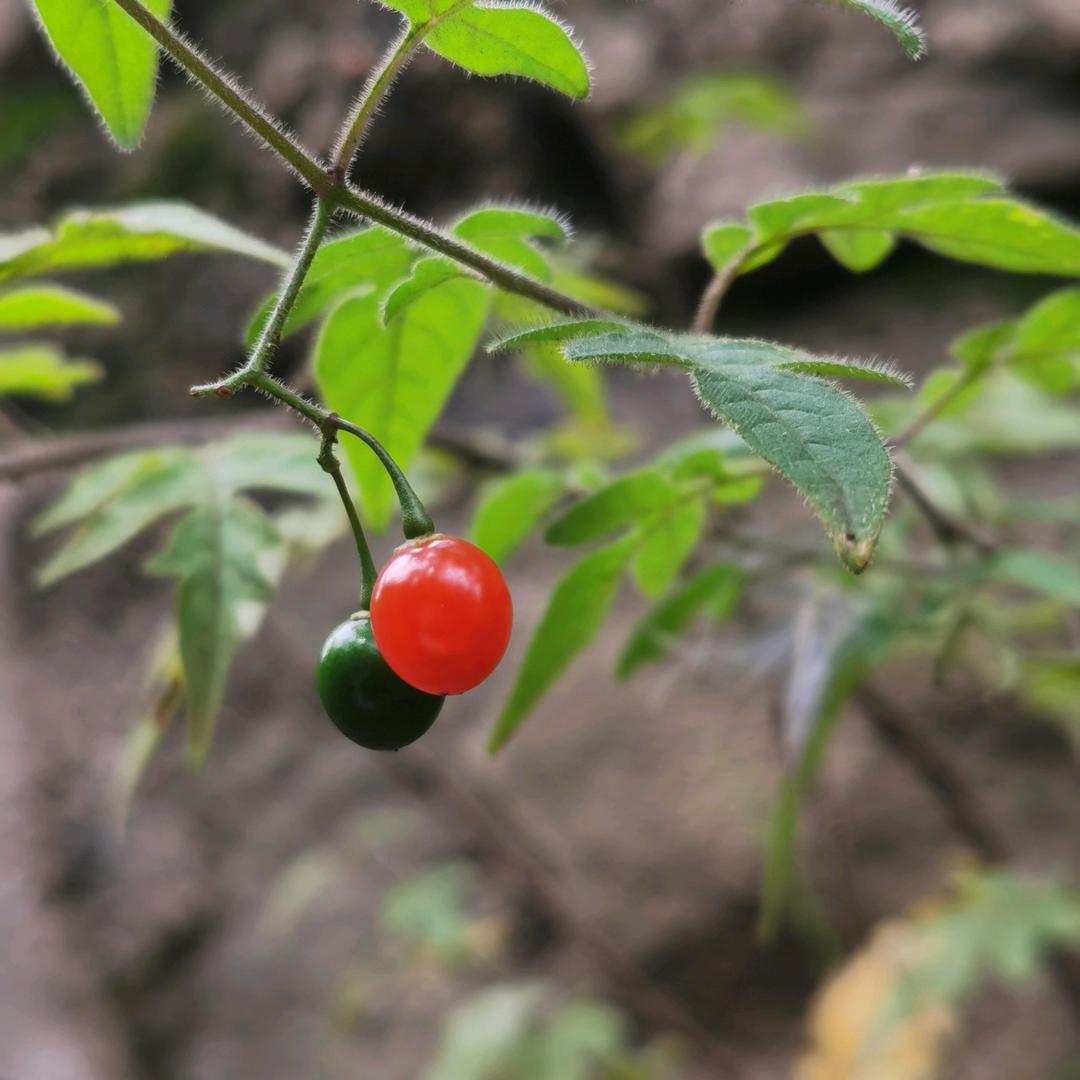 我在太原摆个摊