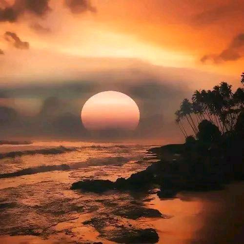努力为明天