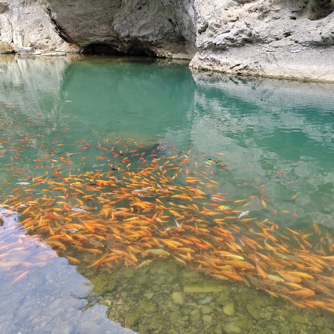 爱一个真心的人