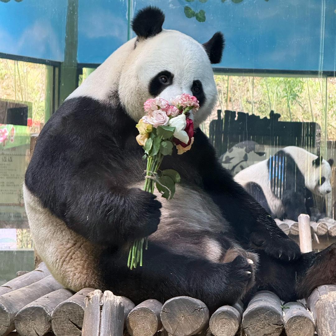 麦穗