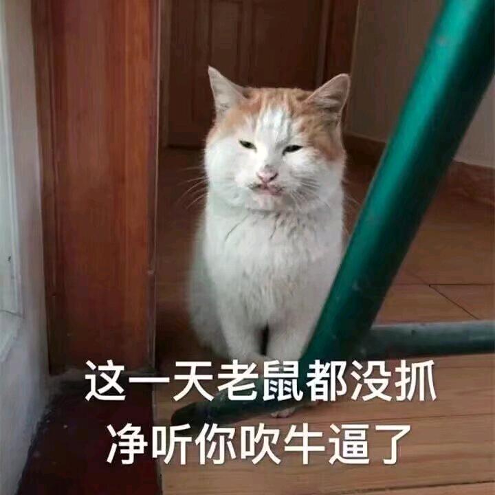 宇智波丶豹子