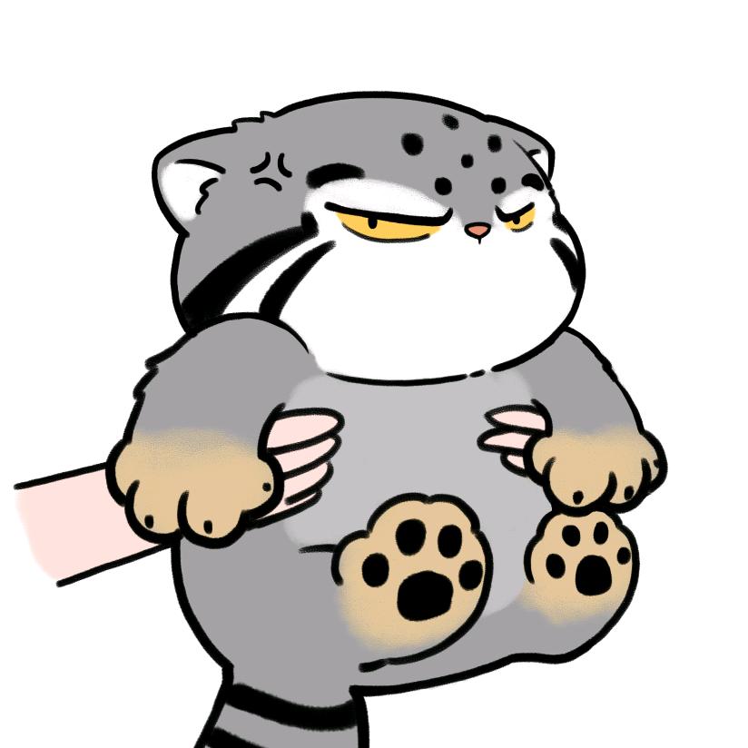 橘大本