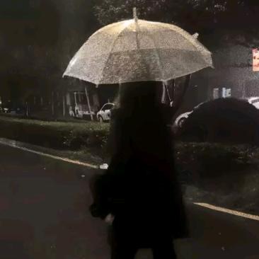 自由界的彷徨