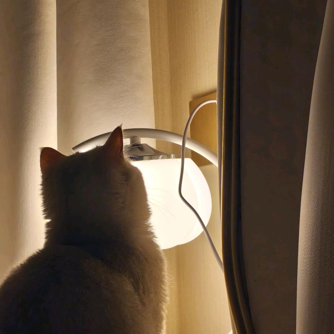 任任.