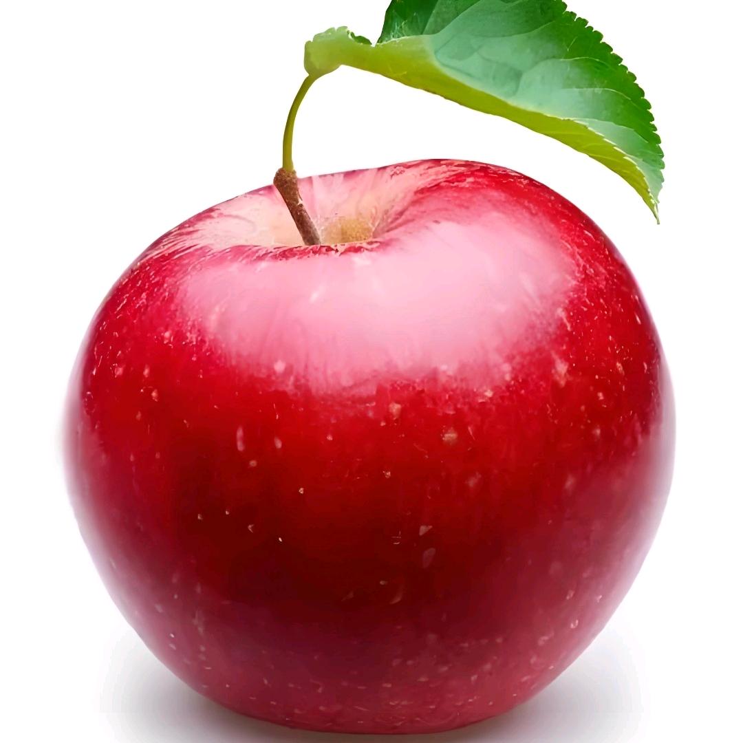 二凯-英子爱运动