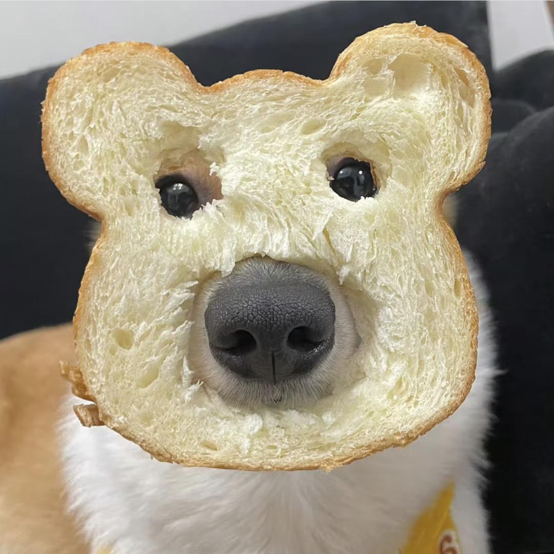 苦柚子