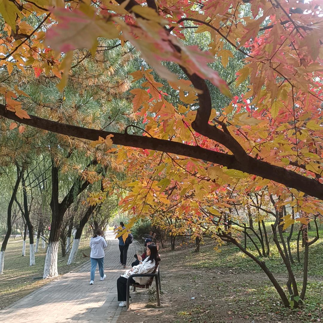 把自己看低三分，你才会不断提升自己。