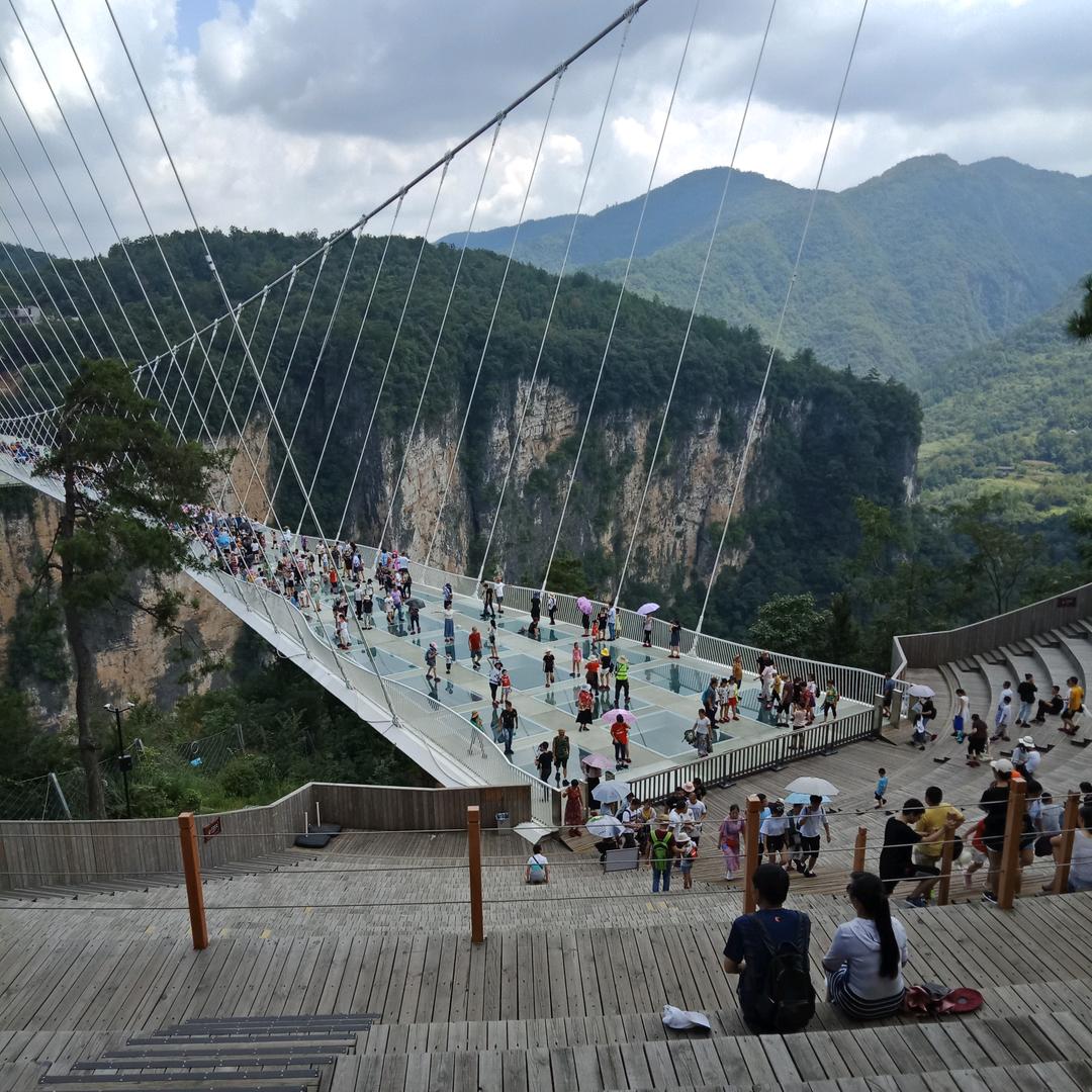 自己的路自己闯