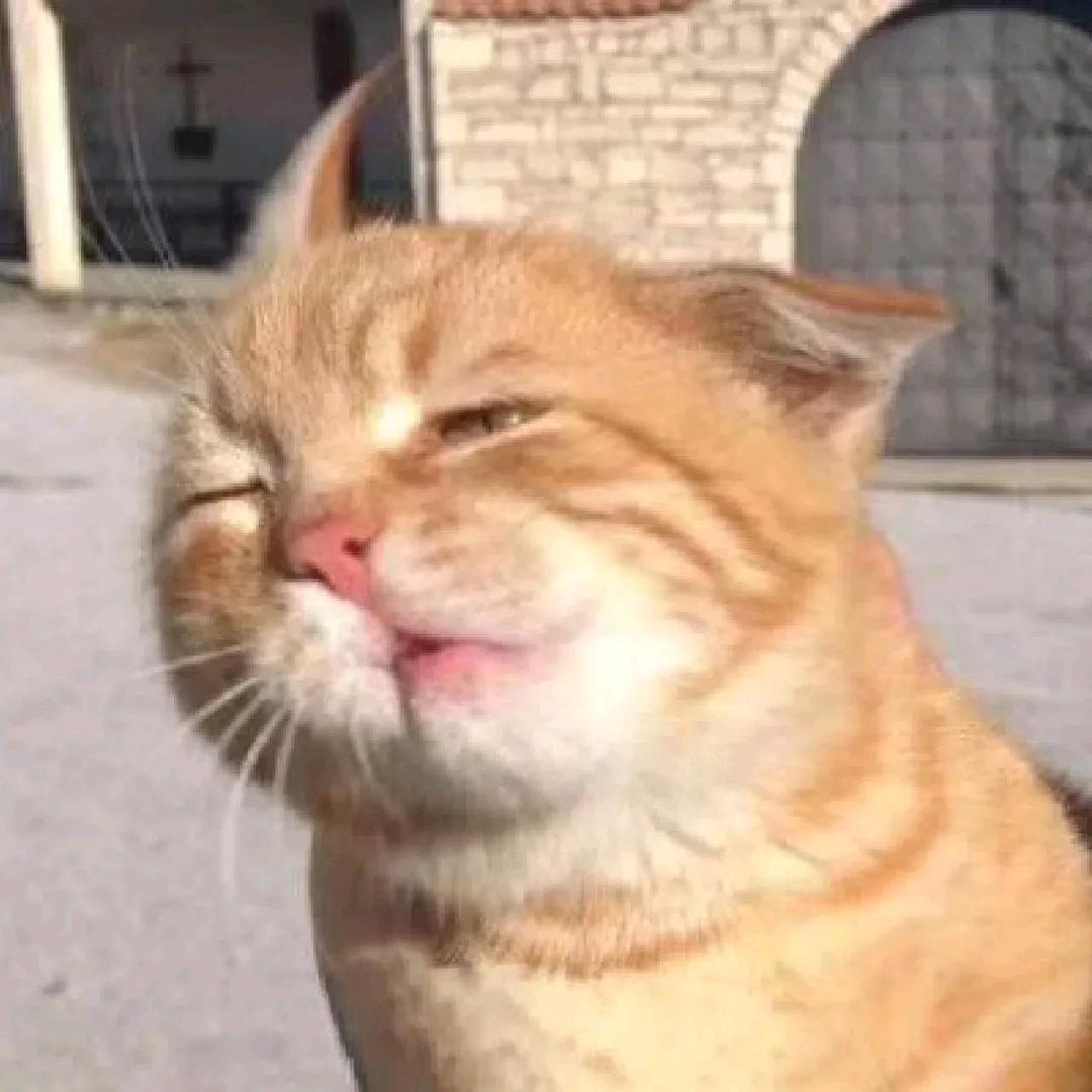 九四是个摄影师📷（上班停单版）