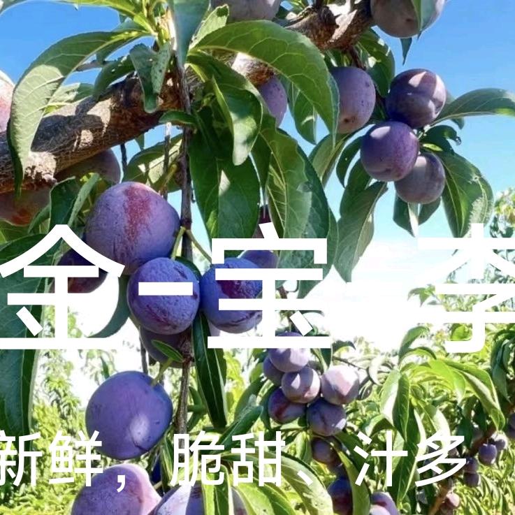汉中秋水塬种养殖农民专业合作社