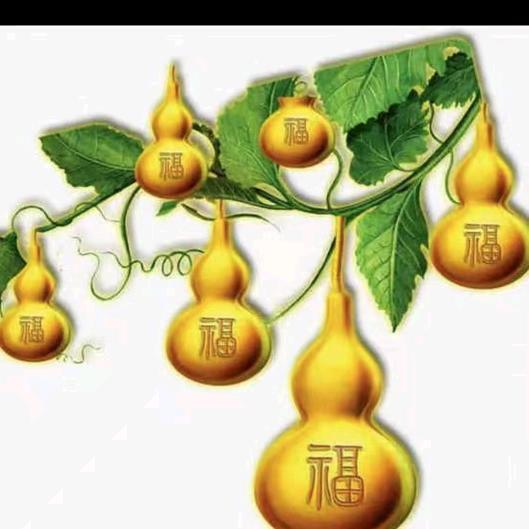 中老年服饰工厂批发