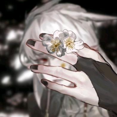 蓝桉凝