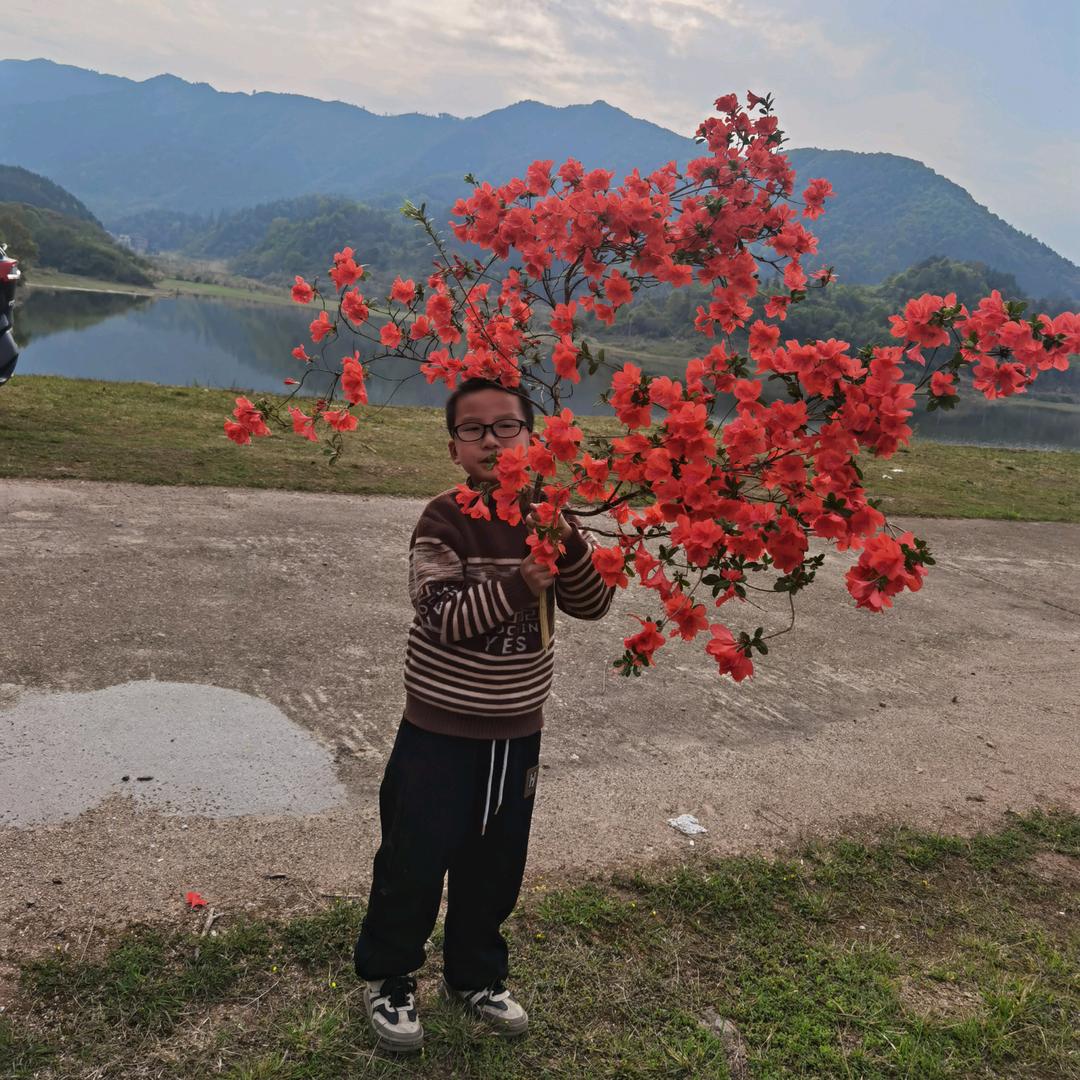 欧杨