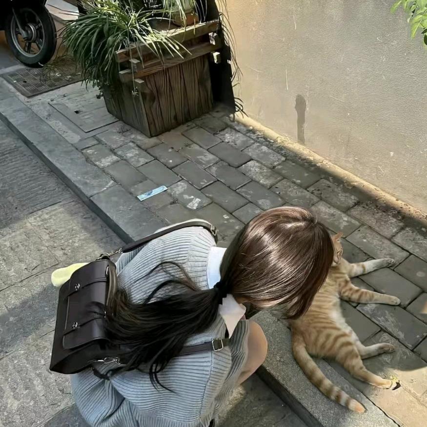 不7晚饭