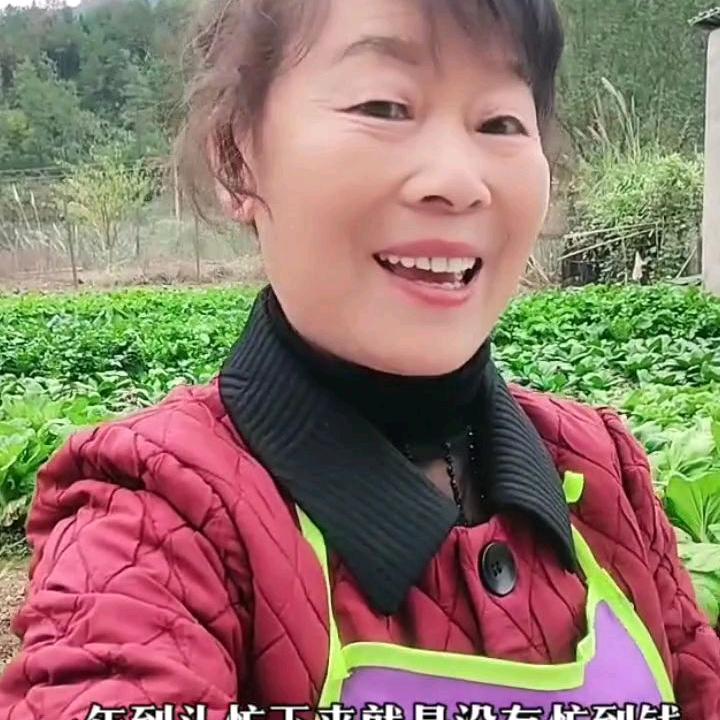 汪姐