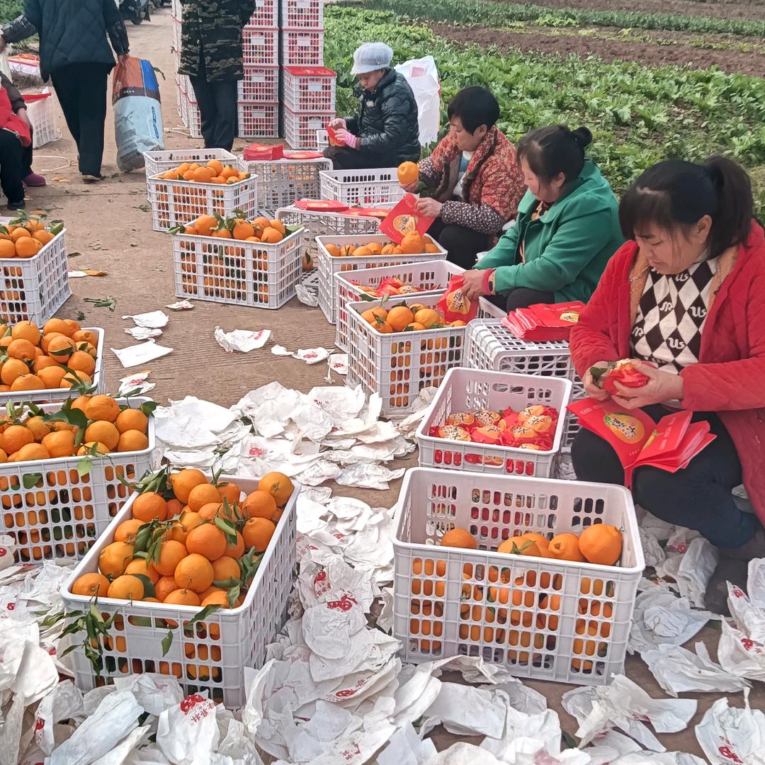 安岳春鹏农产品臻选阁