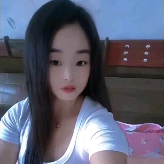 小飞琴