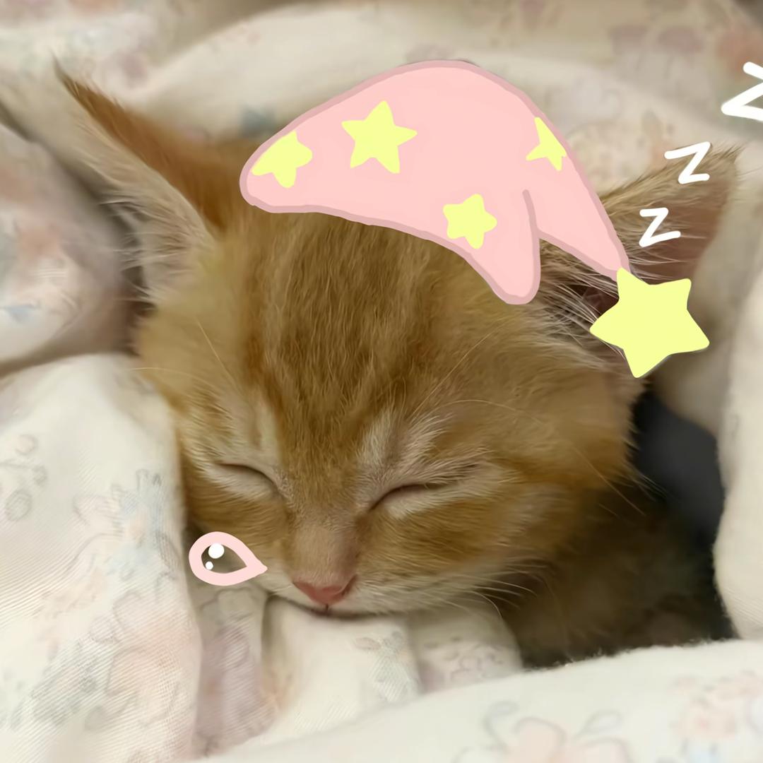^ 宅猫.🐾