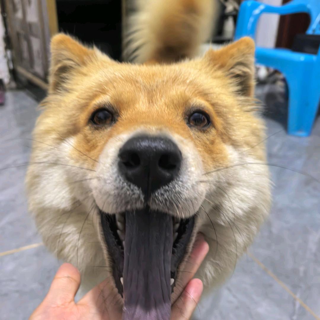 十月