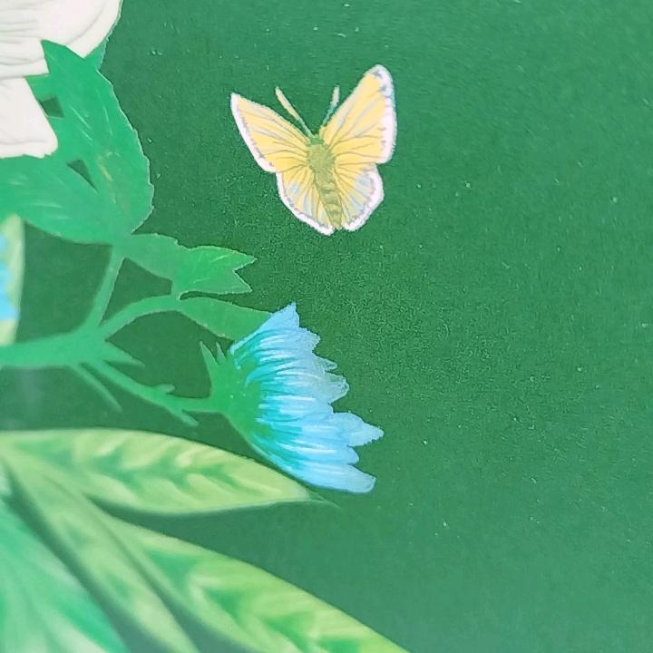 洄澜逸客