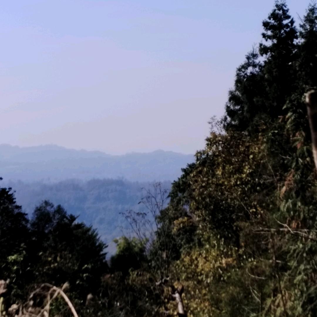 我是小凤凰姐的兄弟农民