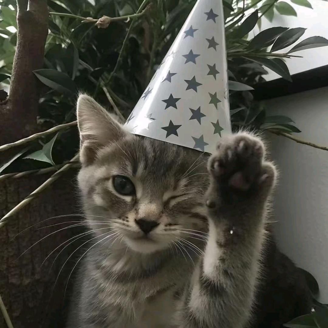 宇宙超级神龙暴龙战士