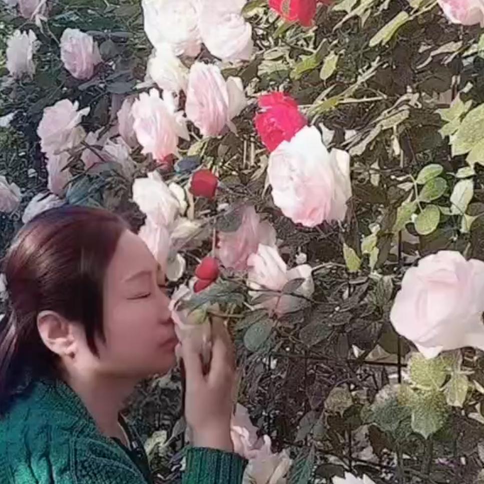 ᝰ思钱ོ💞想厚ృ༊: