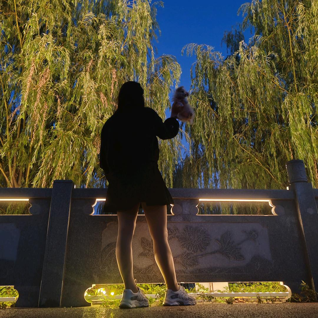 ❤顺其❤自然❤拒聊