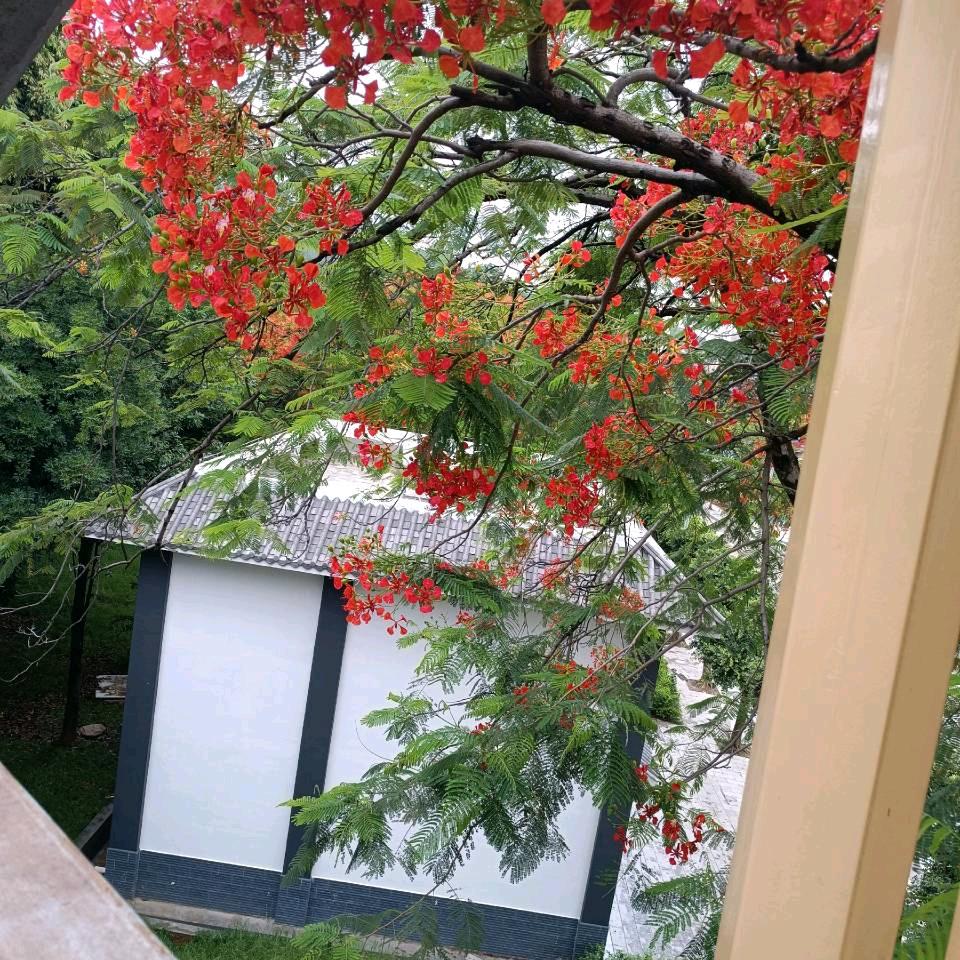 -生平安