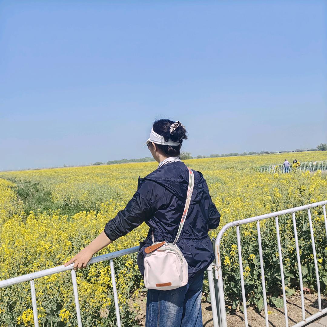 镇江徐姐（小号）