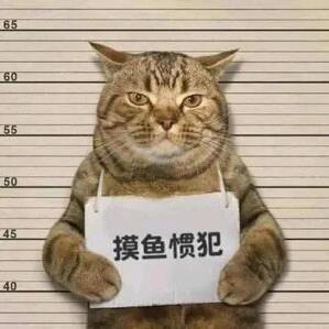 扫黄大队