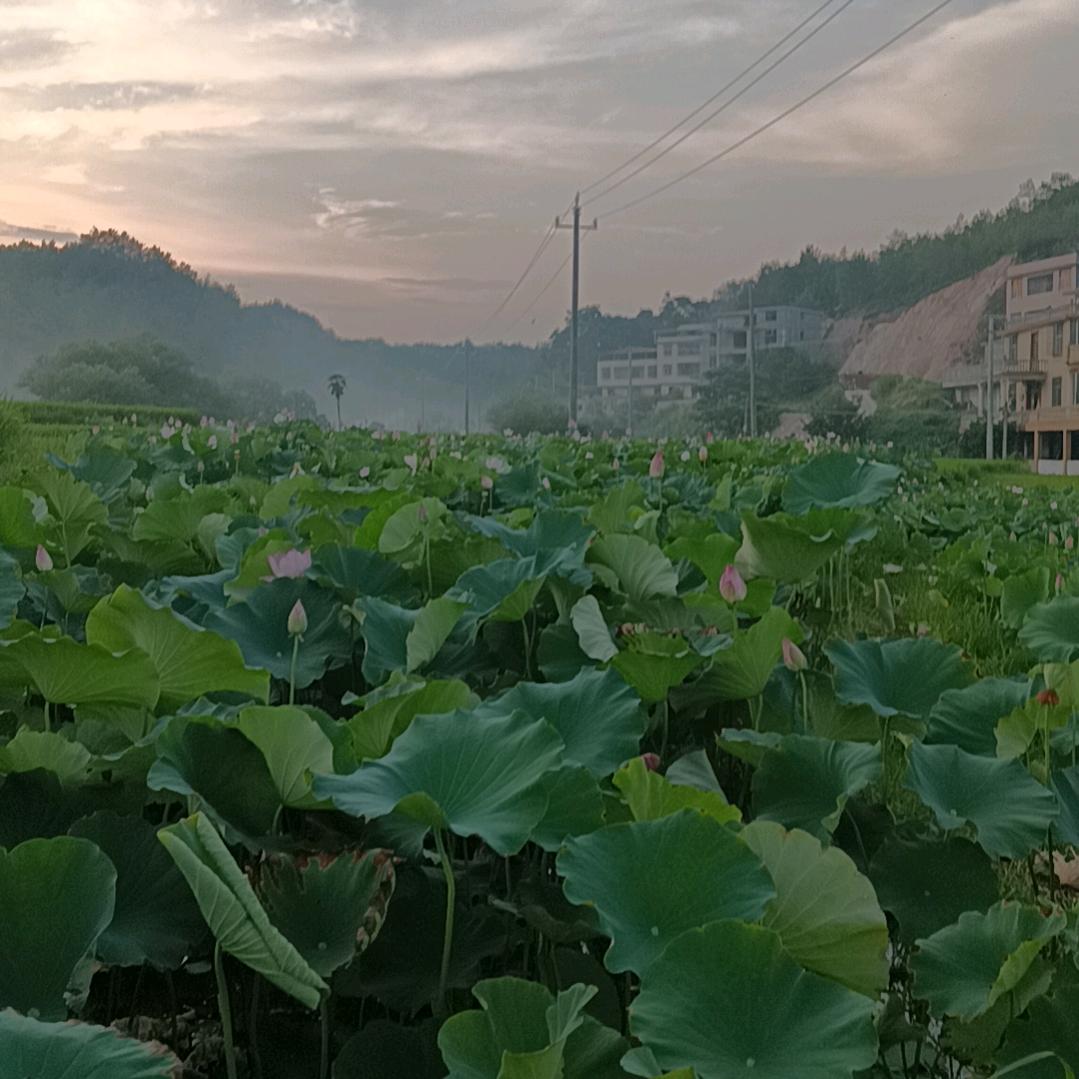 邱经理
