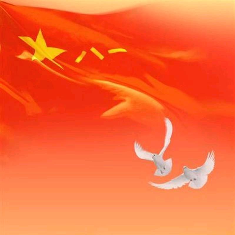 小白609524