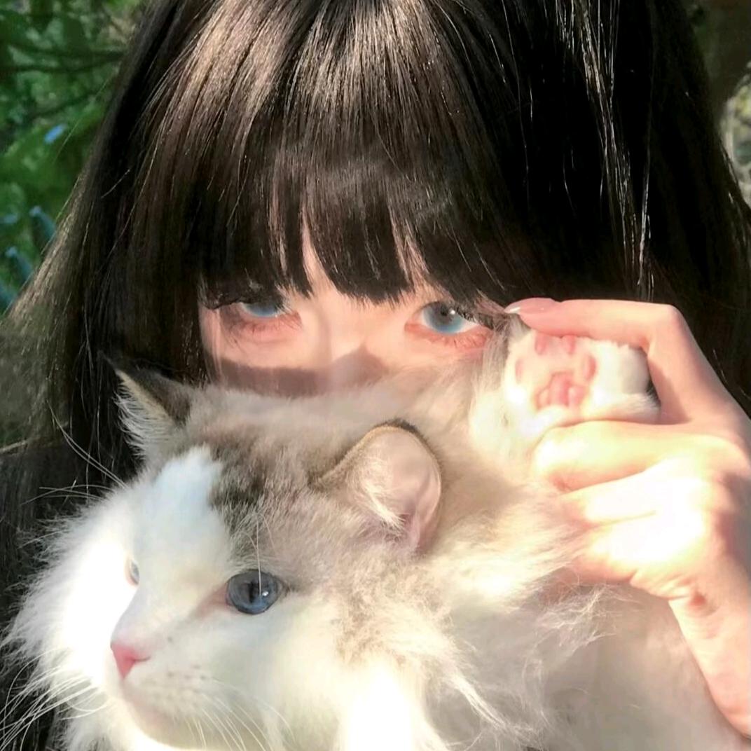 不吃香菜末
