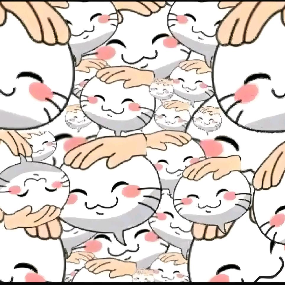 新年快乐     万小婷