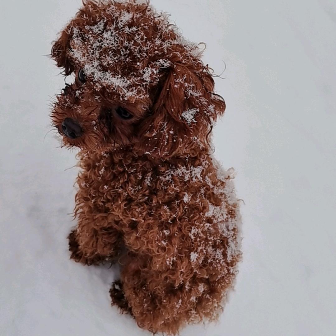 拧巴的🦁子座🍦🍦
