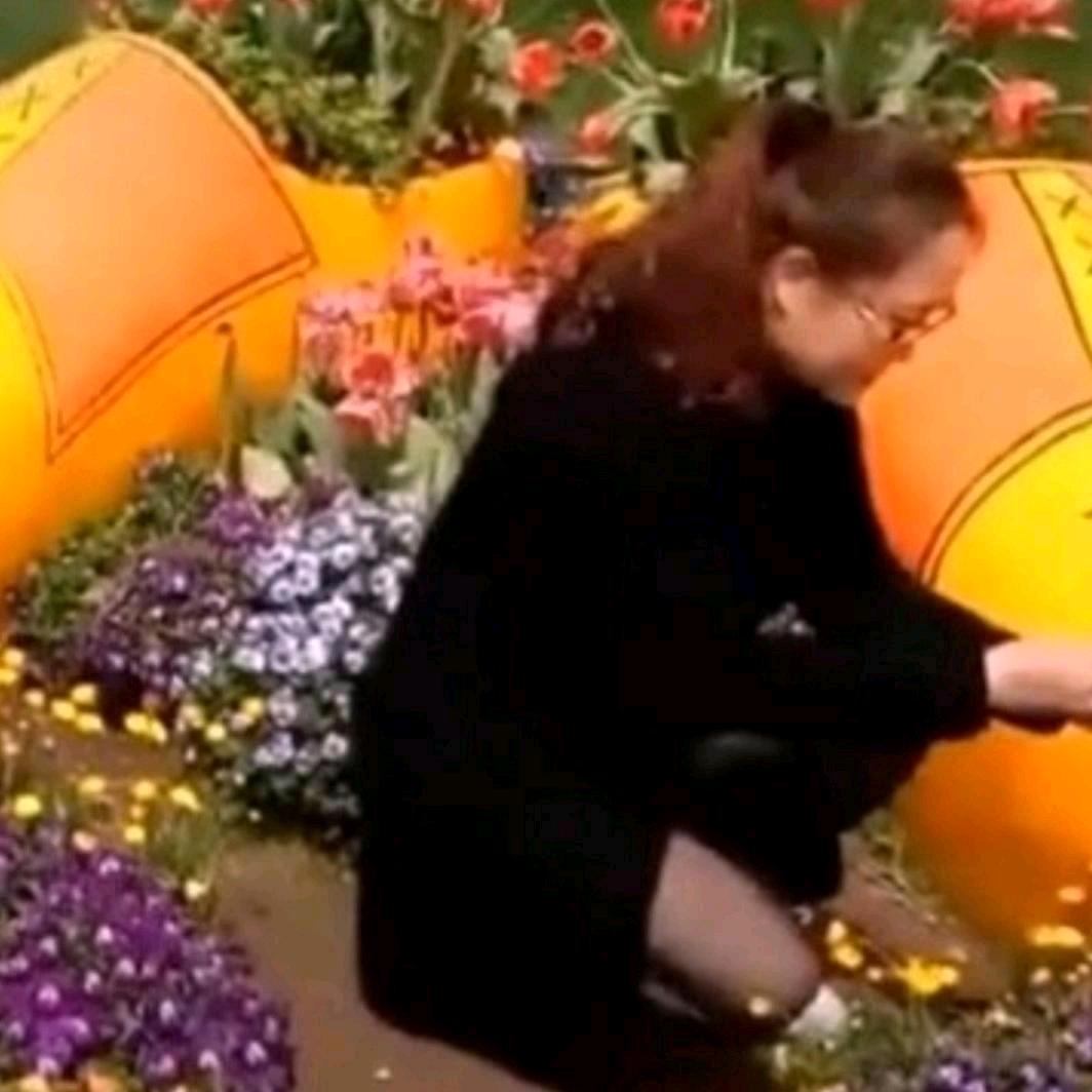 ღ᭄夏日💞阳光ঞ