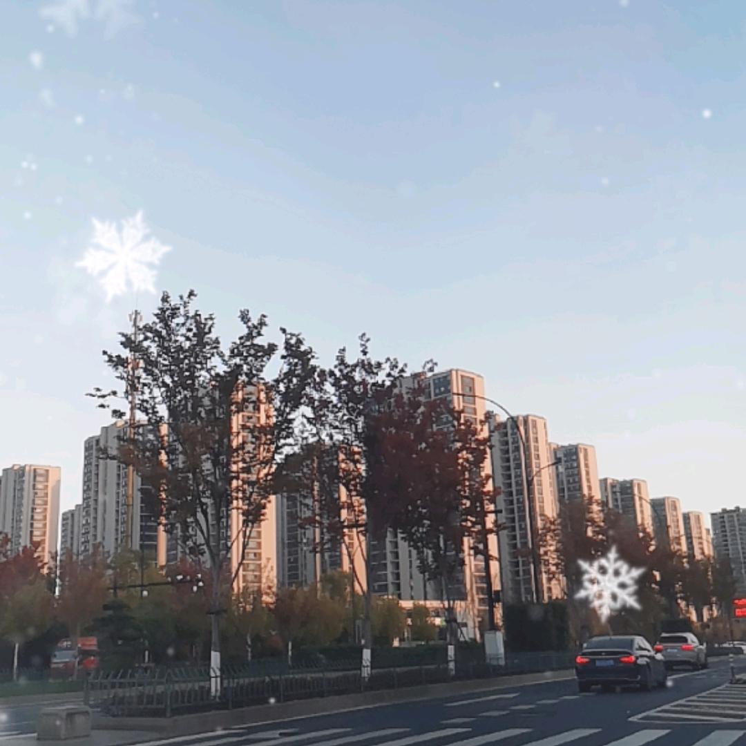 小胡毛衣工厂直播