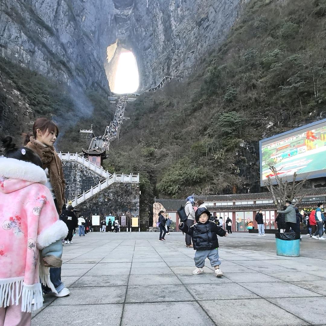 云南贡菜    ㍿