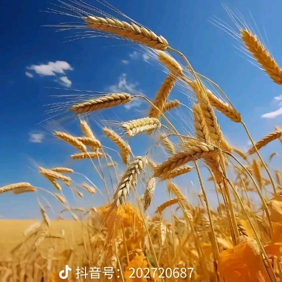 (◦˙▽˙◦)春暖花开♥