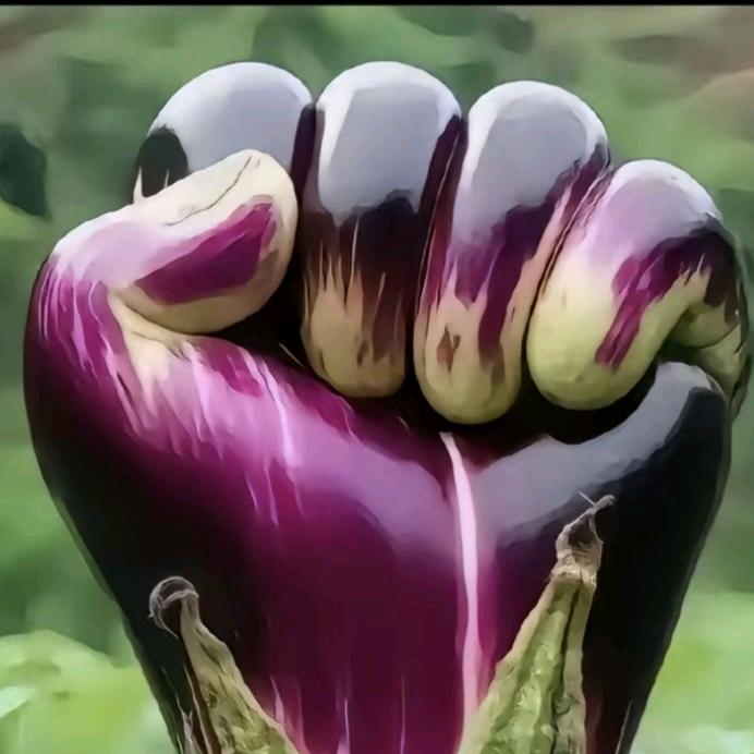 👉马👐哥👈