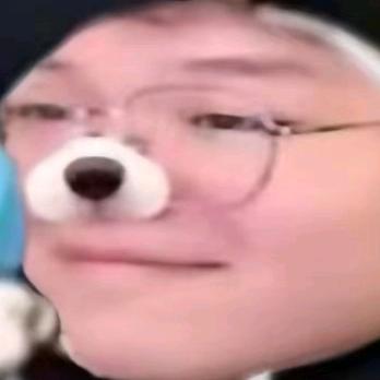 Dogless(我被限流了)