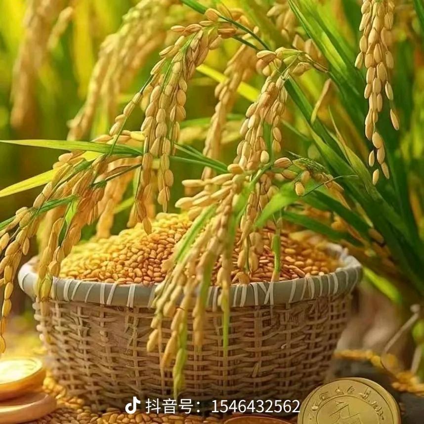 静修