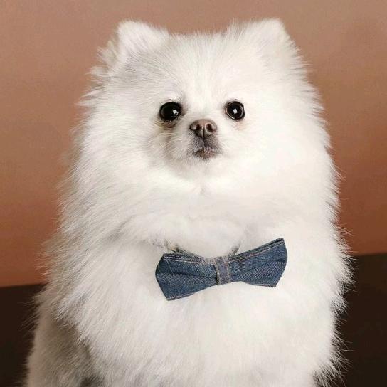 🌼᭄好运ꚸ加满Չᐝ࿐ᩚ