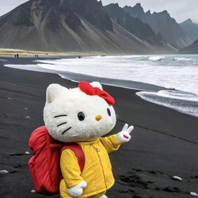 先生请出山-小美