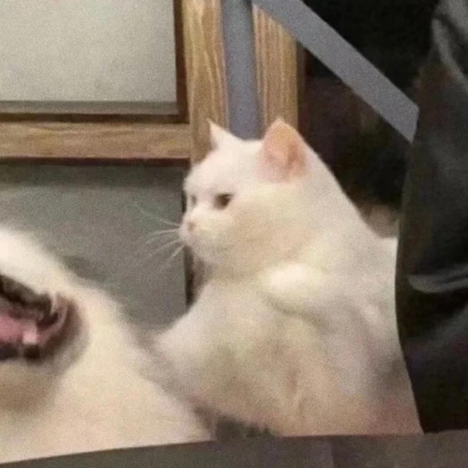 栗子好物分享🌰